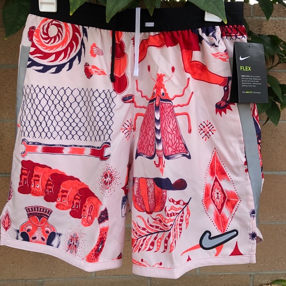 Nike | Shorts | Nike Flex Wild Run 